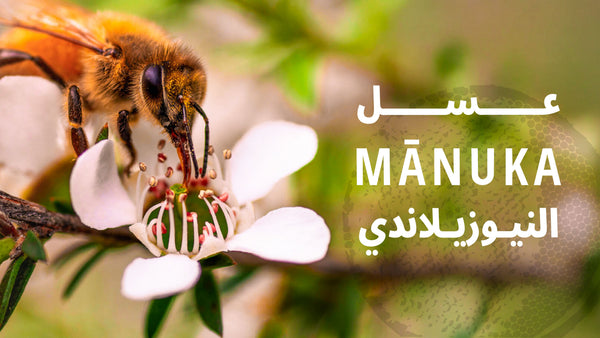 عسل ثري بيز السعودية